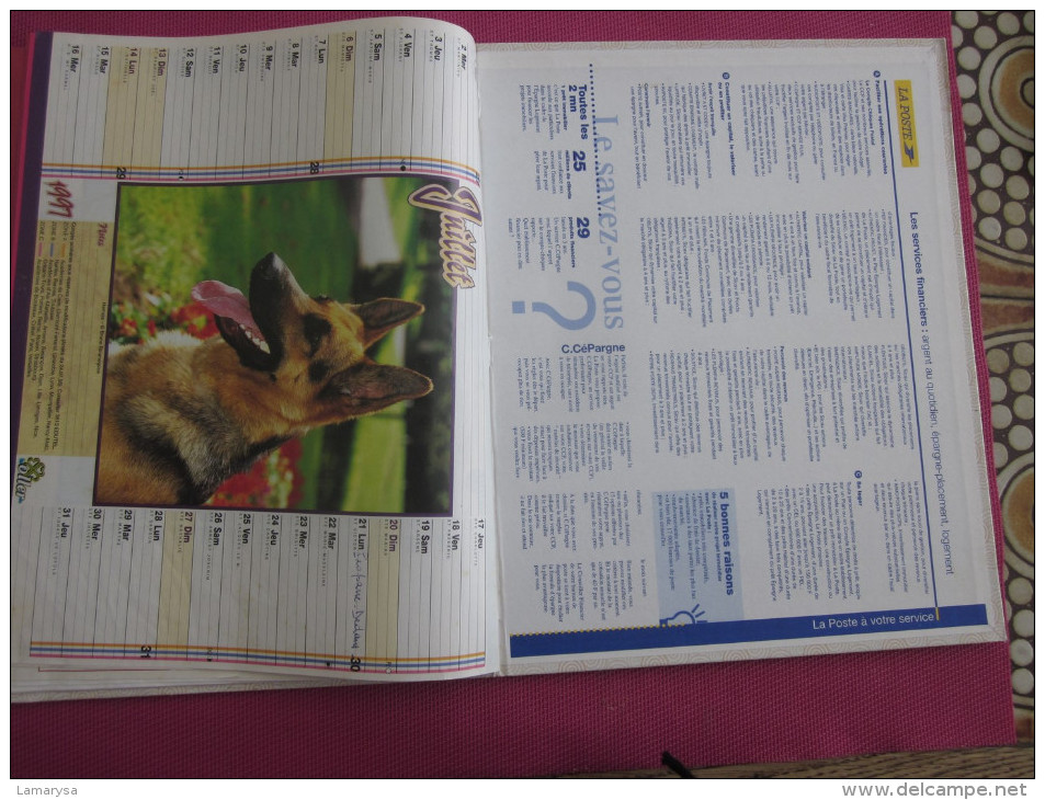 1997 CALENDRIER PTT DOUBLE FORMAT=>CHEVAL-CHIEN CANICHE-FAON-CANETONS-CHATONS-LAPIN Cartes de Grenoble Isére 38 & Autre