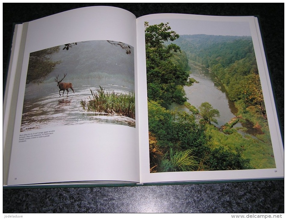 LE BRAME IMAGES ET RITUEL Régionalisme Nature Cerf Biche J-L Duvivier De Fortemps Saint Hubert Ardenne