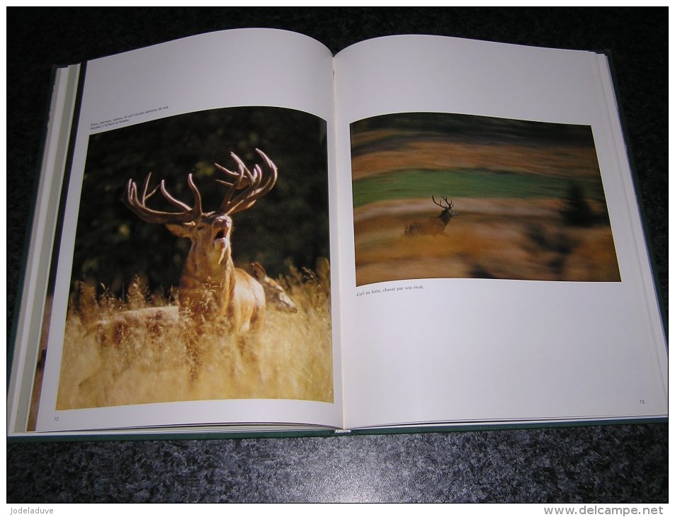 LE BRAME IMAGES ET RITUEL Régionalisme Nature Cerf Biche J-L Duvivier De Fortemps Saint Hubert Ardenne