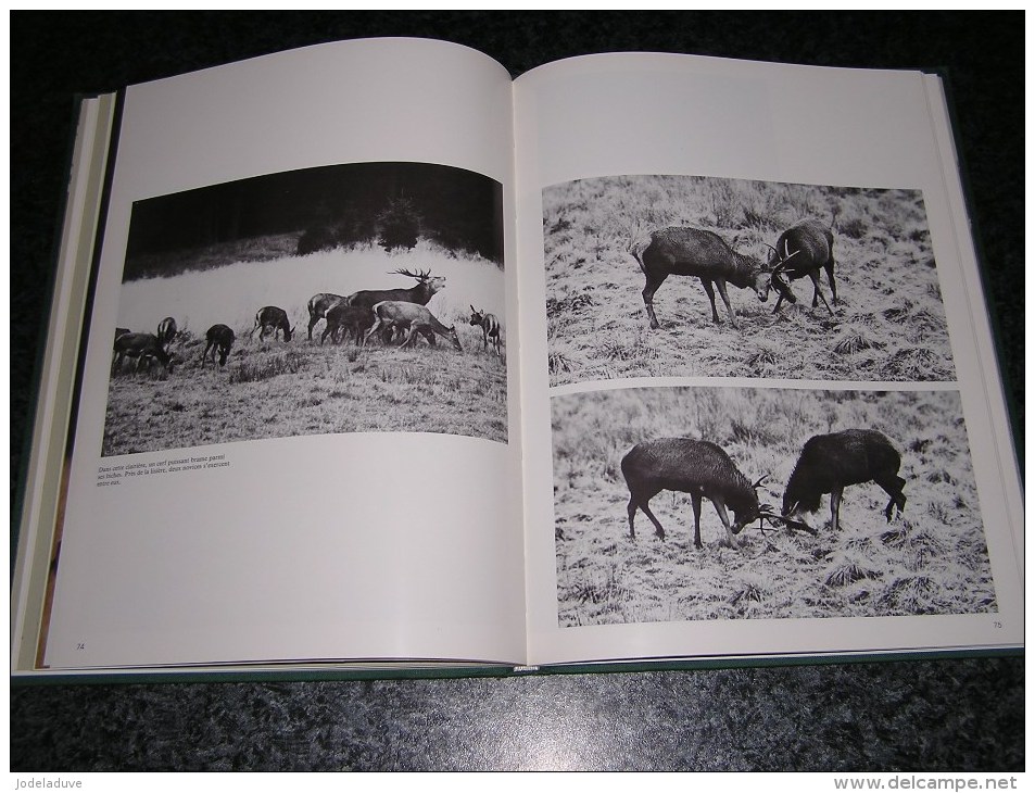 LE BRAME IMAGES ET RITUEL Régionalisme Nature Cerf Biche J-L Duvivier De Fortemps Saint Hubert Ardenne