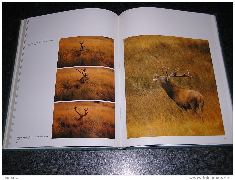 LE BRAME IMAGES ET RITUEL Régionalisme Nature Cerf Biche J-L Duvivier De Fortemps Saint Hubert Ardenne