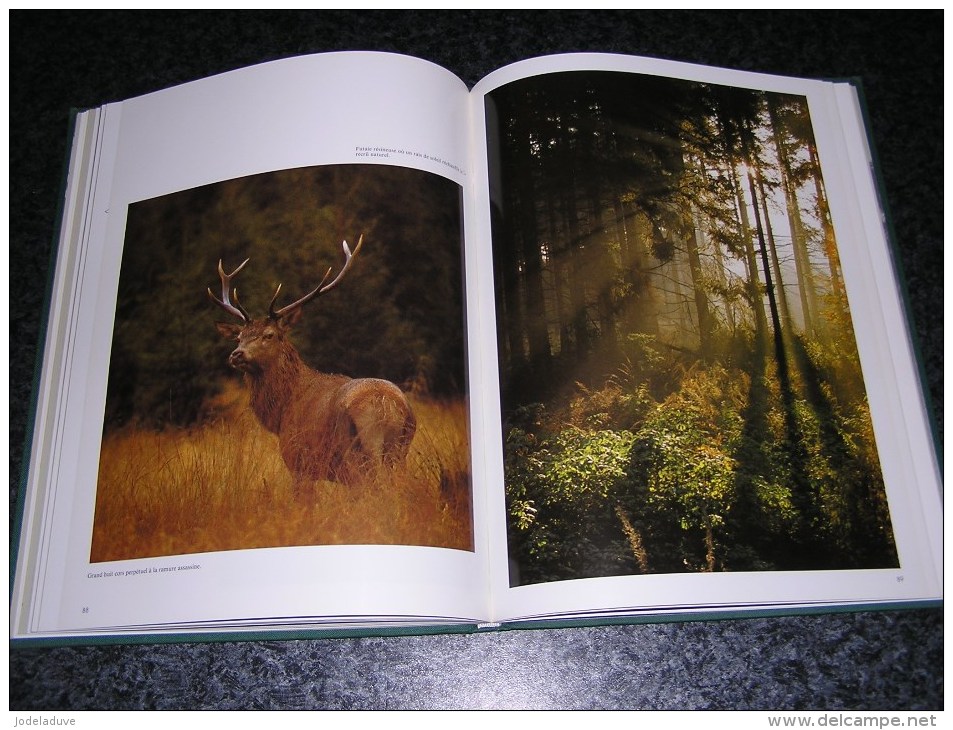 LE BRAME IMAGES ET RITUEL Régionalisme Nature Cerf Biche J-L Duvivier De Fortemps Saint Hubert Ardenne