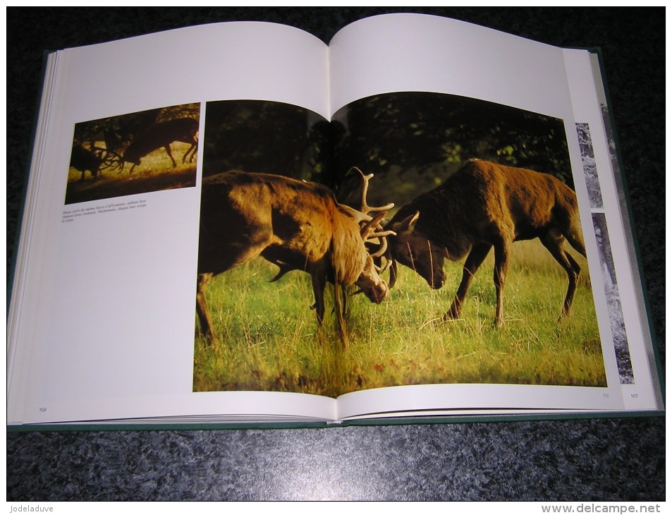 LE BRAME IMAGES ET RITUEL Régionalisme Nature Cerf Biche J-L Duvivier De Fortemps Saint Hubert Ardenne