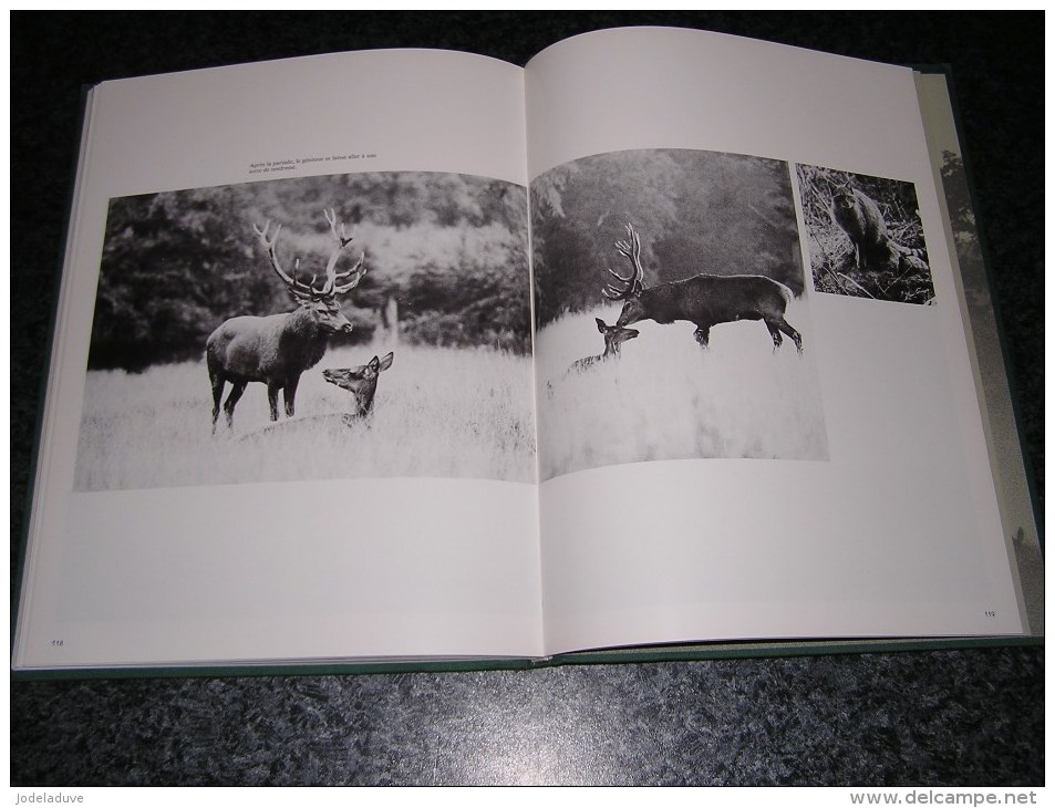 LE BRAME IMAGES ET RITUEL Régionalisme Nature Cerf Biche J-L Duvivier De Fortemps Saint Hubert Ardenne