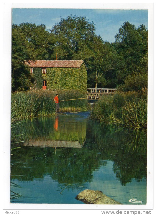 CERIZAY--Le Moulin De La Branle Sur La Sèvre Nantaise (animée,pêcheur ),cpsm 15 X 10 N°0212 éd Combier - Cerizay