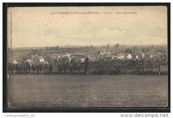 CPA La Pommeraie-sur-Sèvre, Vue Générale - Autres & Non Classés