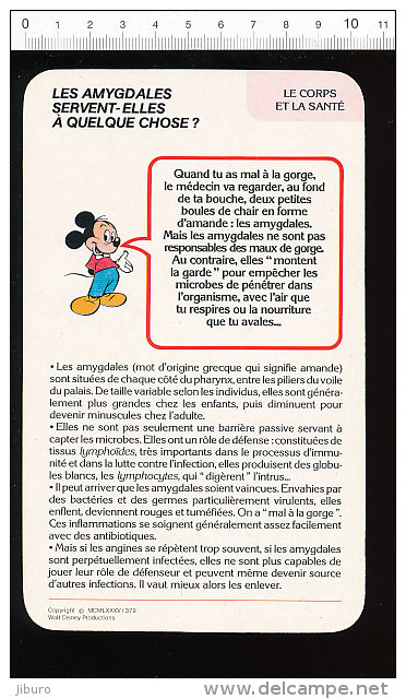 Fiche Disney Humour / Amygdales Médecine Corps Humain Bouche Dents Dentition  / IM CP/GF - Other & Unclassified