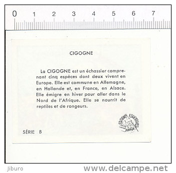 Image Editions éducatives Calvet-Rogniat / Cigogne Oiseau / IM 175/6 - Autres & Non Classés