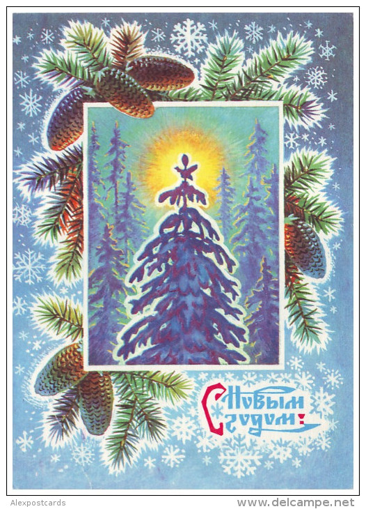 USSR, 1976. HAPPY NEW YEAR! WINTER FOREST, FIR CONES. Artist B. Parmeev. Postal Stationery Card. Unused - Nieuwjaar