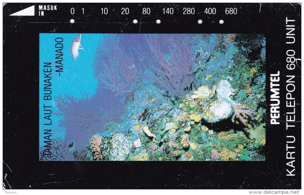 Indonesia, S048, Bunaken Sea Park, Manado, North Sulawesi, 2 Scans. - Indonésie