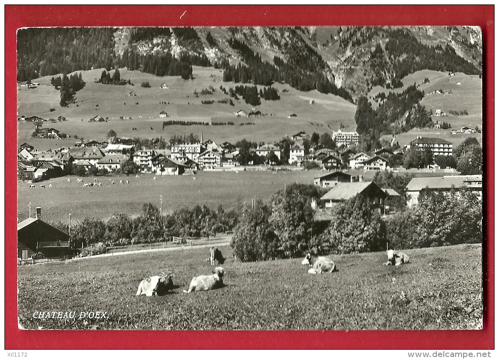 HBB-22  Château D'Oex, Vaches Au Premier Plan. Circulé - Premier