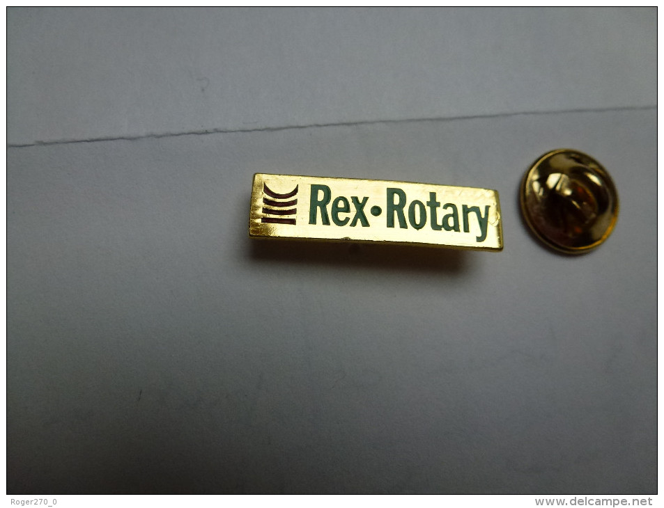 Beau Pin's , Informatique , Rex Rotary - Informatique