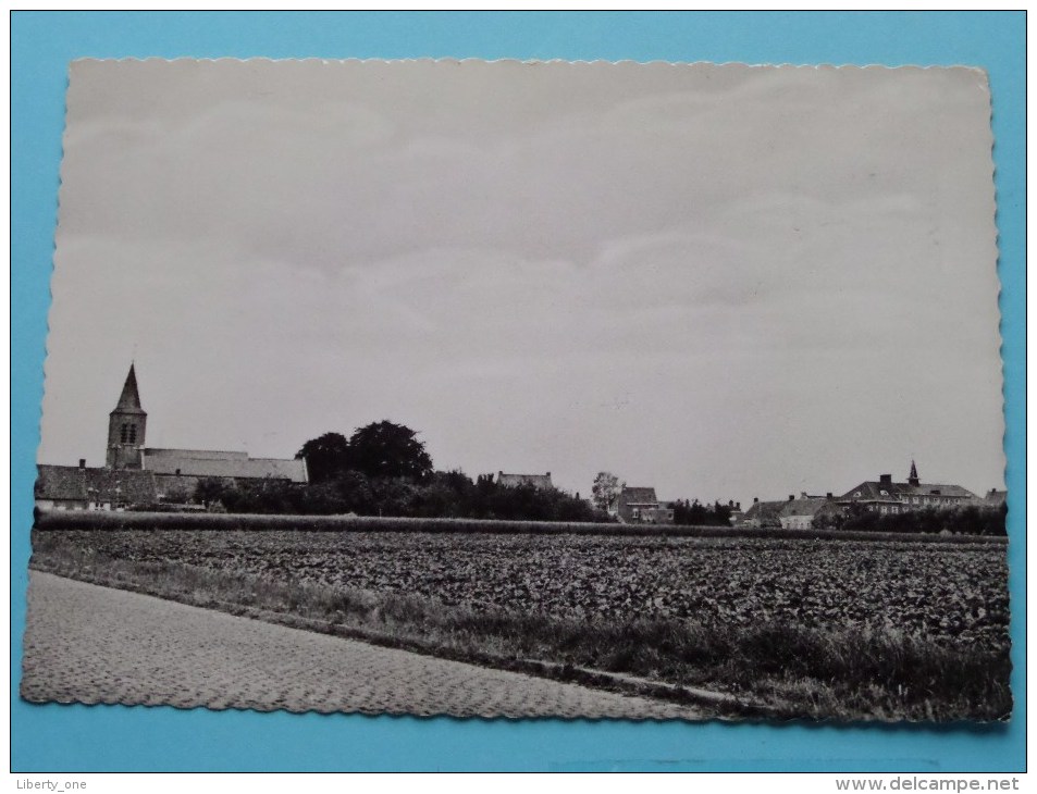 VINKT Panorama ( Buyse-Wancour ) Anno 19?? ( Zie Foto Voor Details ) !! - Deinze