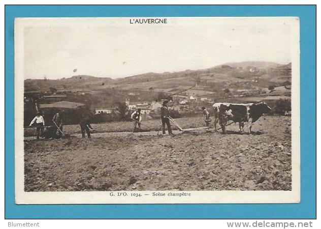 CPA G. D'O 1034 - Attelage Boeufs Charrue Scène Champêtre L'AUVERGNE - Auvergne