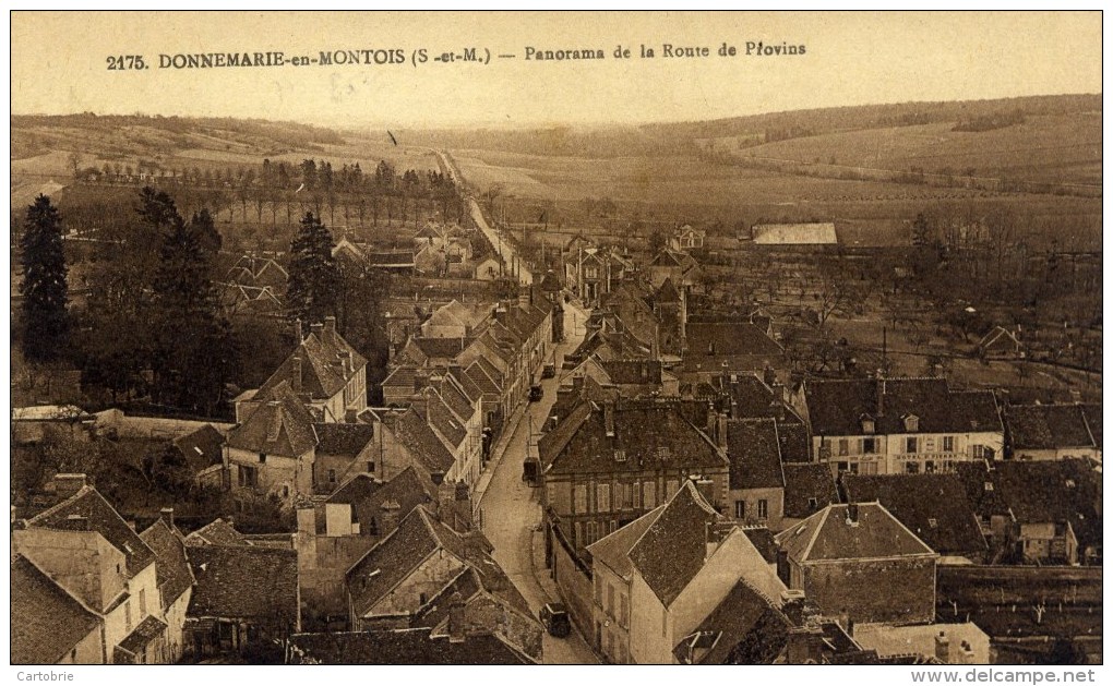 77 - DONNEMARIE-EN-MONTOIS - Panorama De La Route De Provins - (Donnemarie-Dontilly) - Donnemarie Dontilly