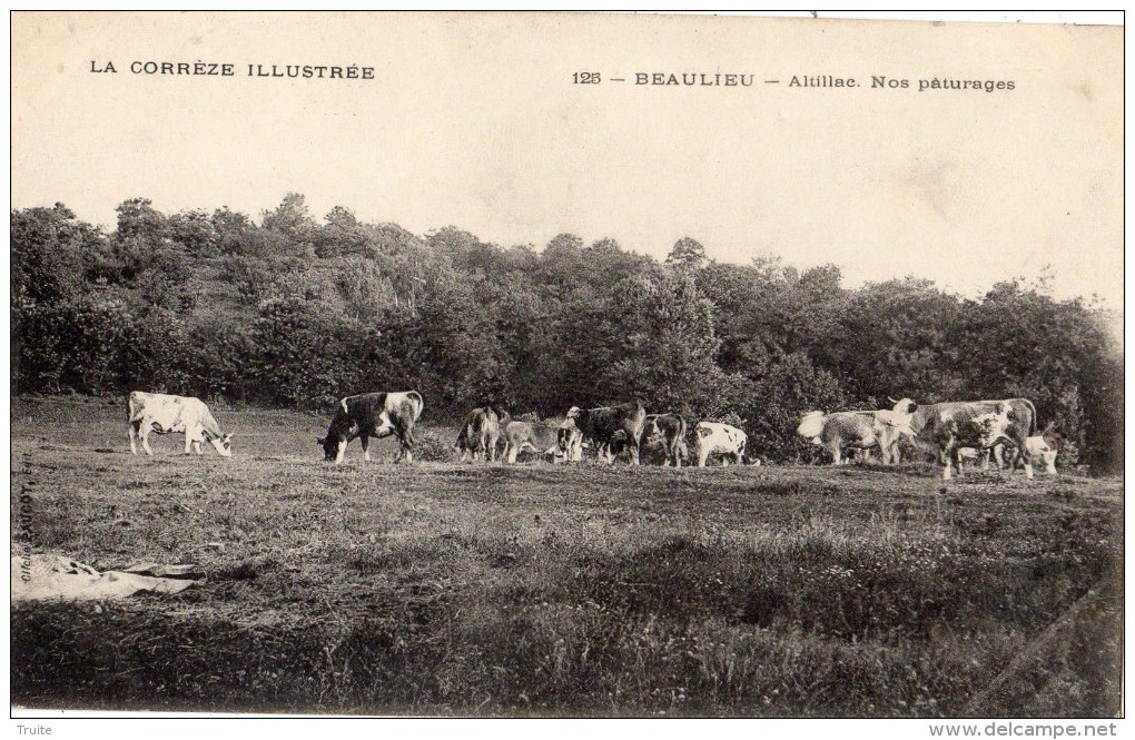 ENVIRONS DE BEAULIEU-SUR-DORDOGNE ALTILLAC NOS PATURAGES - Autres & Non Classés