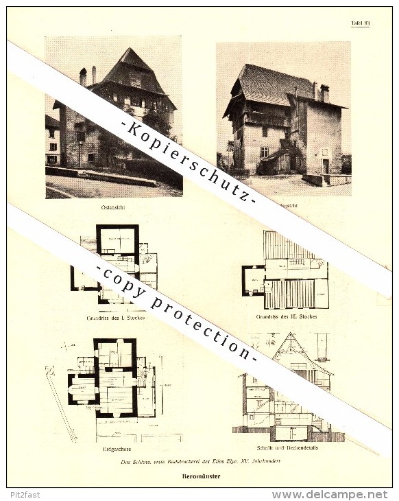 Photographien / Ansichten , 1920 , Beromünster , Altishofen , Prospekt , Architektur , Fotos !!! - Beromünster