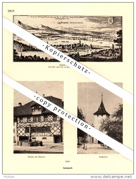 Photographien / Ansichten , 1920 , Sempach , Sursee , Prospekt , Architektur , Fotos !!! - Sempach