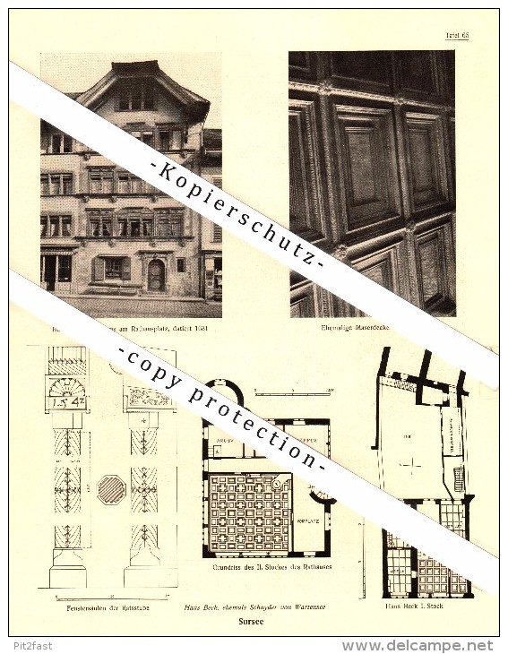 Photographien / Ansichten , 1920 , Sempach , Sursee , Prospekt , Architektur , Fotos !!! - Sempach