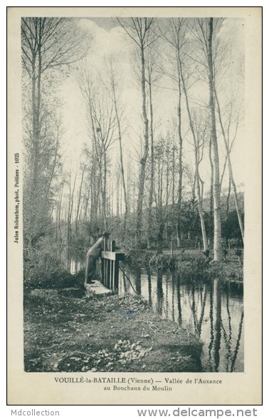 86 VOUILLE / Vouillé-la-Bataille, Vallée De L'Auxance Au Bouchaux Du Moulin / - Vouille