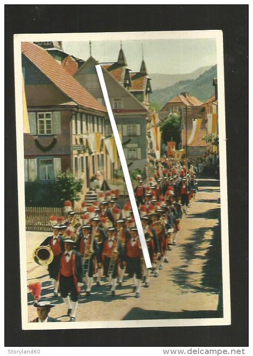 Cpm St000833 Bad Peterstal, Groupe Musical  Folklorique - Bad Peterstal-Griesbach