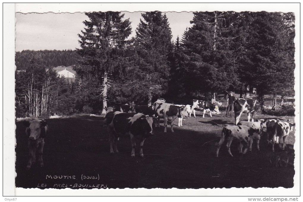 Carte Postale Photo De MOUTHE (Doubs)  Les Près Bouillets Ferme Avec Vaches - VACHE-ANIMAUX - Mouthe