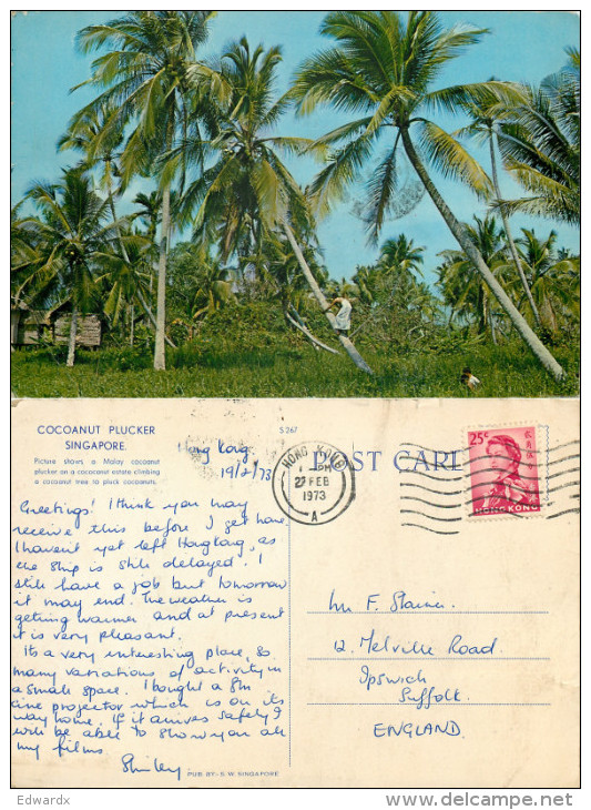 Cocoanut Plucker, Singapore Postcard Posted 1973 HONG KONG Stamp - Singapore