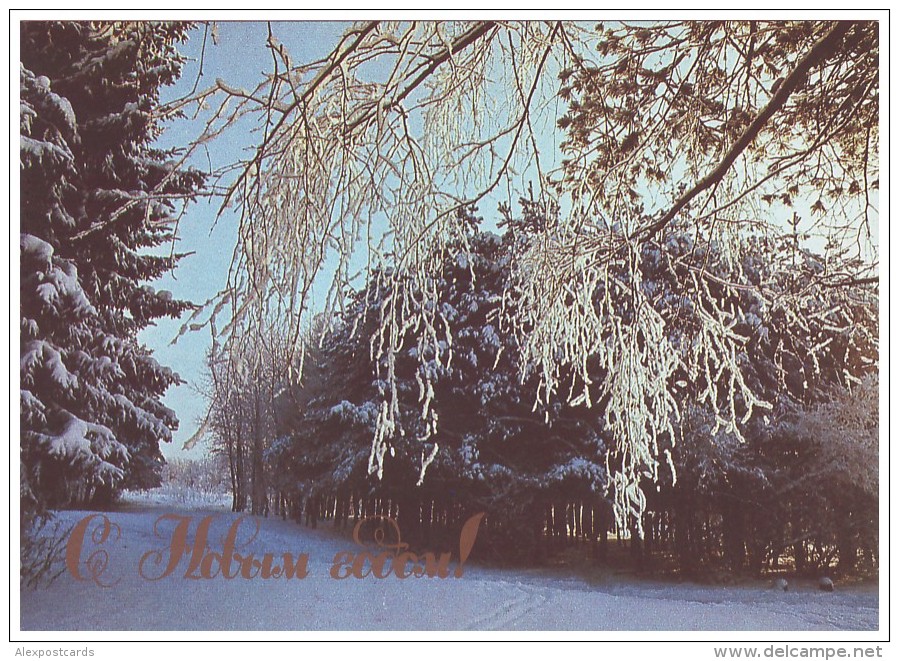USSR, 1989. HAPPY NEW YEAR! WINTER FOREST. Unused Postcard - Altri & Non Classificati