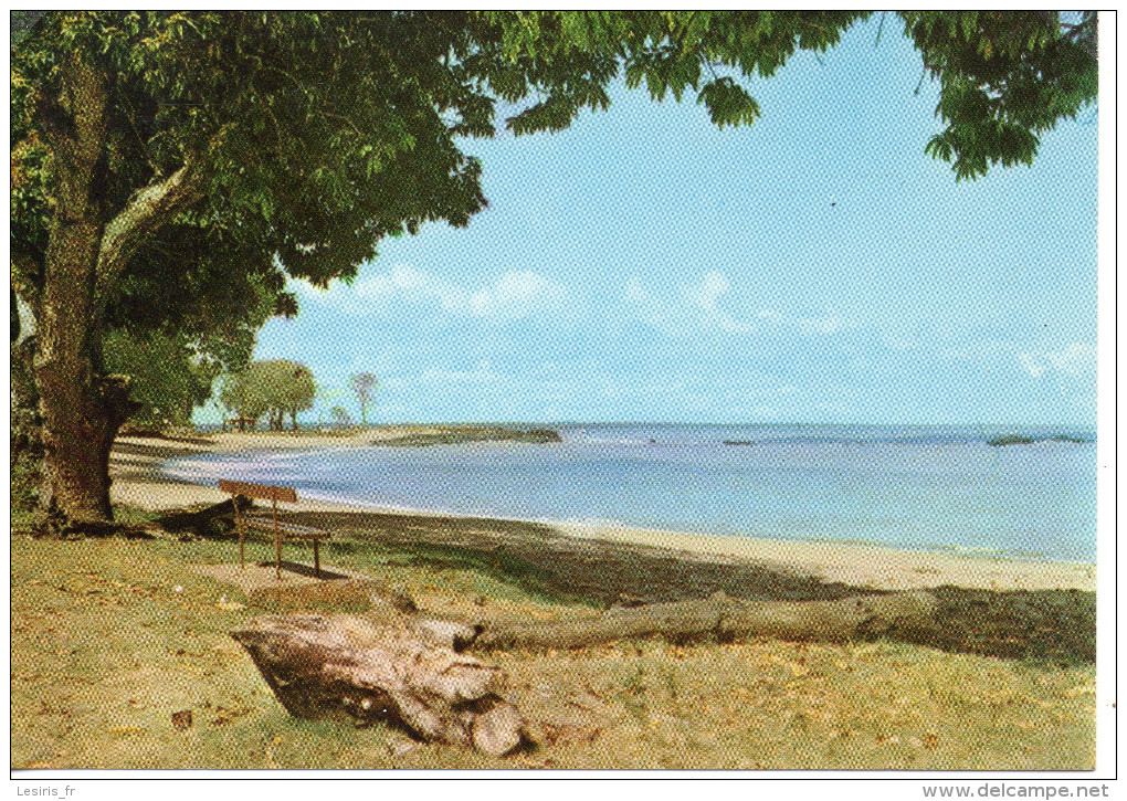 CP - GUYANE FRANCAISE - CAYENNE - LA PLAGE DES AMANDIERS - G. DELABERGERIE - 118 - - Cayenne