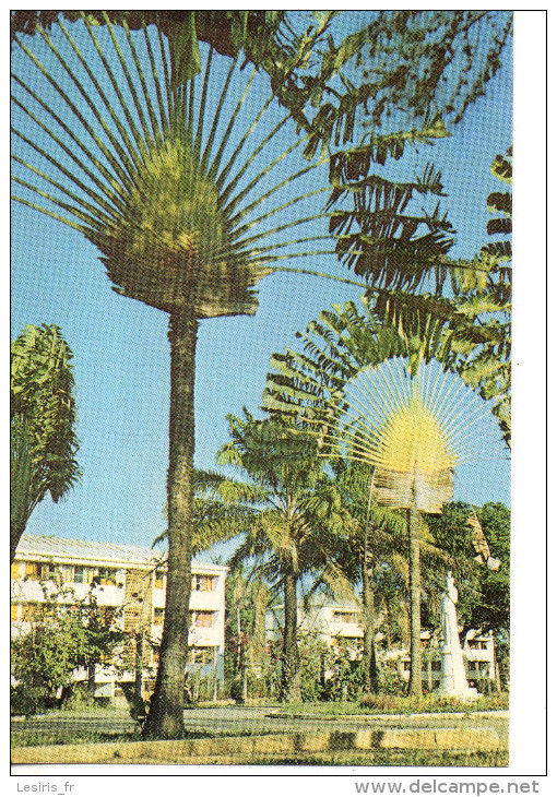 CP - PHOTO - GUYANNE FRANCAISE -  CAYENNE - LE JARDIN BOTANIQUE - G. DELABERGERIE - Cayenne