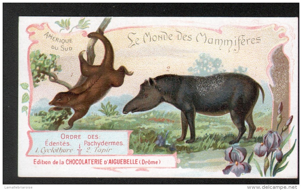 CHROMO A L'ETAT NEUF, CHOCOLAT D'AIGUEBELLE, LEMONDE DES MAMMIFERES, CYCLOTHURE, TAPIR - Otros & Sin Clasificación