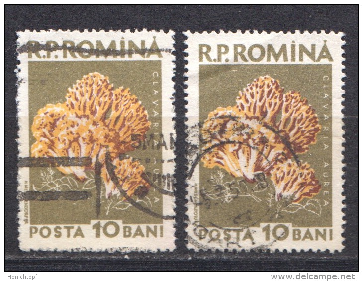Rumänien; 1958; Michel 1722, O; Pilze; Clavaria Aurea; Korallenpilz; Clavulina - Pilze