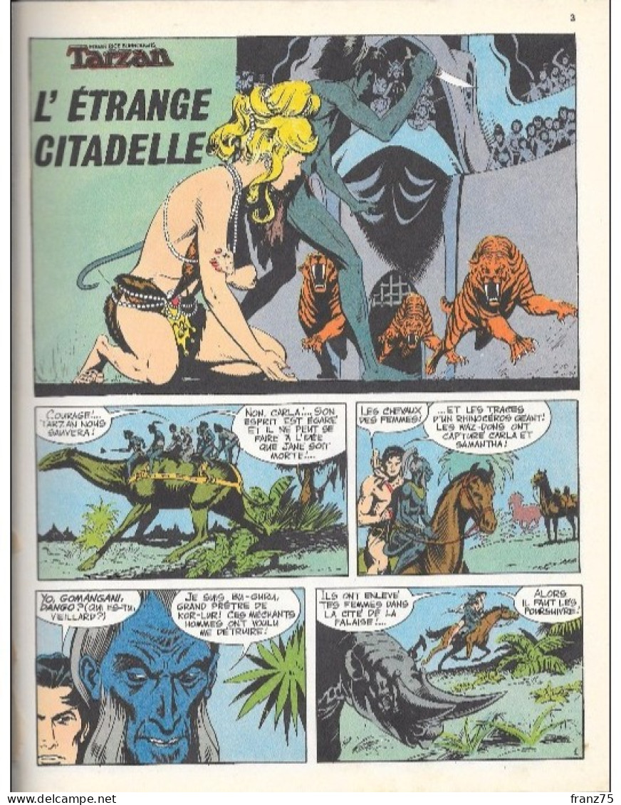 TARZAN Géant N°17-L'étrange Citadelle-Sagedition 1973 (scans)--BE - Tarzan