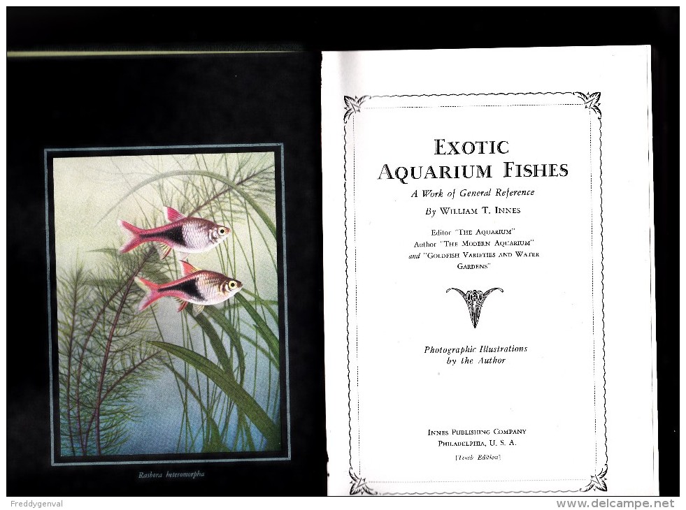 EXOTIC AQUARIUM FISHES PAR Wm.T.INNES - Andere & Zonder Classificatie