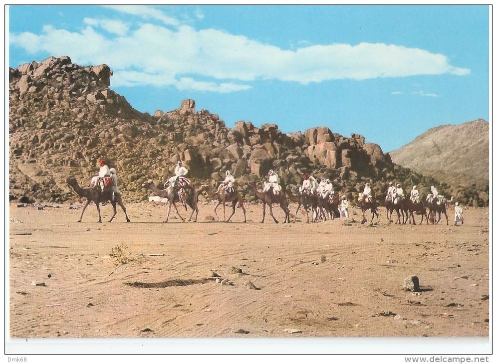 SAUDI ARABIA - CARAVAN HAJJAZ - MECCA MUKARAMA - PHOTO MUFTI - 1970s ( 232 ) - Arabia Saudita