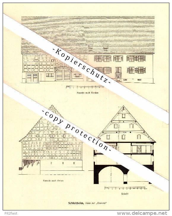 Photographien / Ansichten , 1918 , Wilchingen , Schleitheim , Prospekt , Architektur , Fotos !!! - Schleitheim