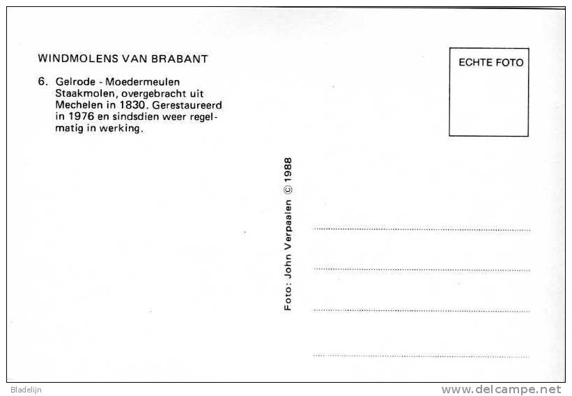 GELRODE - Aarschot (Brabant) - Molen/moulin - De Moedermeulen In 1988, Opgezeild En In Werking Kort Na De Restauratie - Aarschot