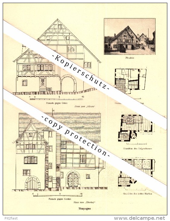 Photographien / Ansichten , 1918 , Thayngen , Prospekt , Architektur , Fotos !!! - Thayngen