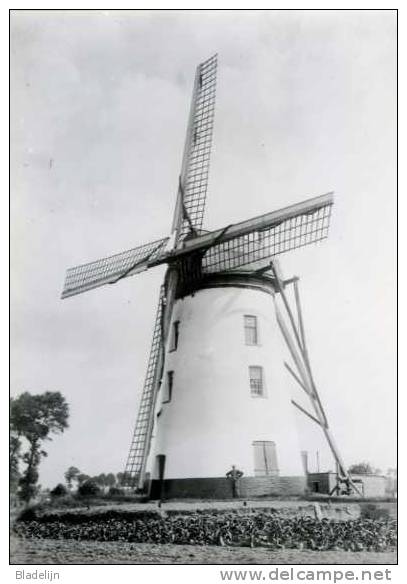 WESTKERKE Bij Oudenburg (W.Vl.) - Molen/moulin - De Verdwenen Molen Vandamme, Onttakeld In 1946. De Romp Bestaat Nog. - Oudenburg