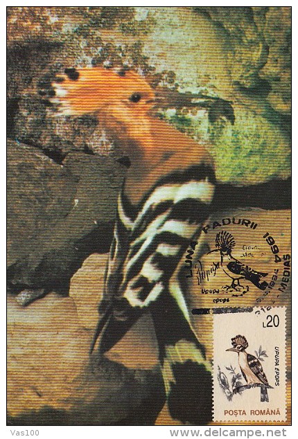 BIRDS, HOOPOE, CM, MAXICARD, CARTES MAXIMUM, 1994, ROMANIA - Spechten En Klimvogels