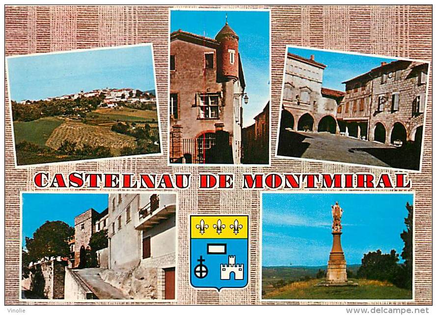Réf : T 15 - 3316  : CASTELNAU DE MONTMIRAIL - Castelnau De Montmirail