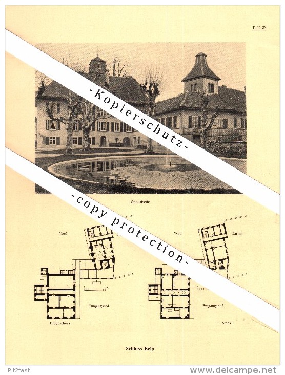 Photographien / Ansichten , 1922 , Schloss Belp , Prospekt , Architektur , Fotos !!! - Belp