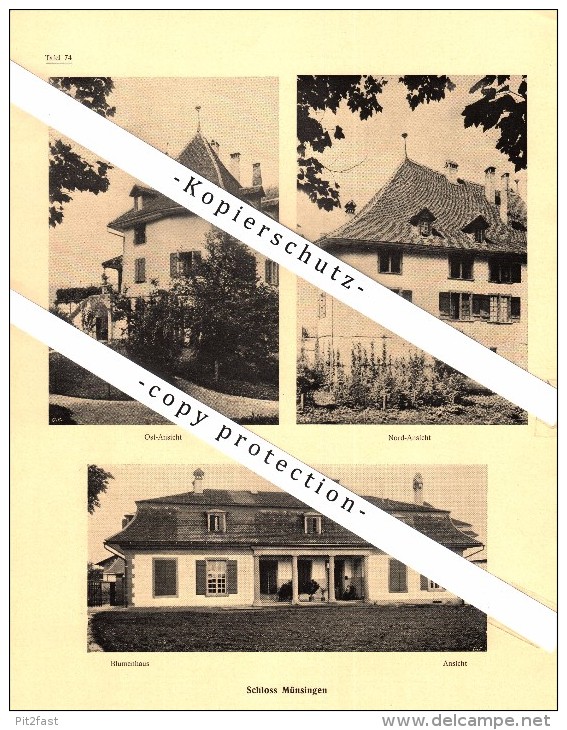 Photographien / Ansichten , 1922 , Schloss Münsingen , Prospekt , Architektur , Fotos !!! - Münsingen