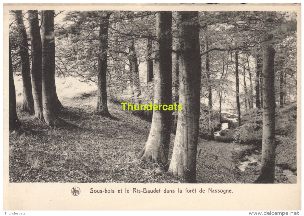 CPA SOUS BOIS ET LE RIS BAUDET DANS LA FORET DE NASSOGNE - Nassogne