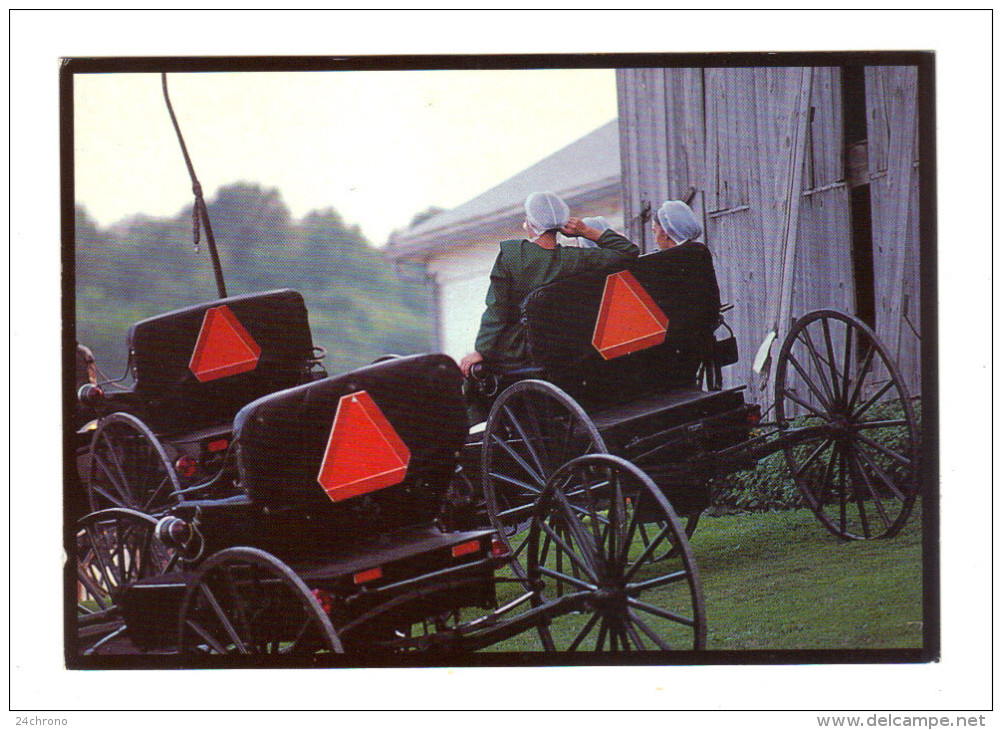 Etats Unis: Lancaster, Amish Seasons, Goin' Courtin'. Courting Buggies And Hopeful Maidens, Buggy (15-3847) - Lancaster