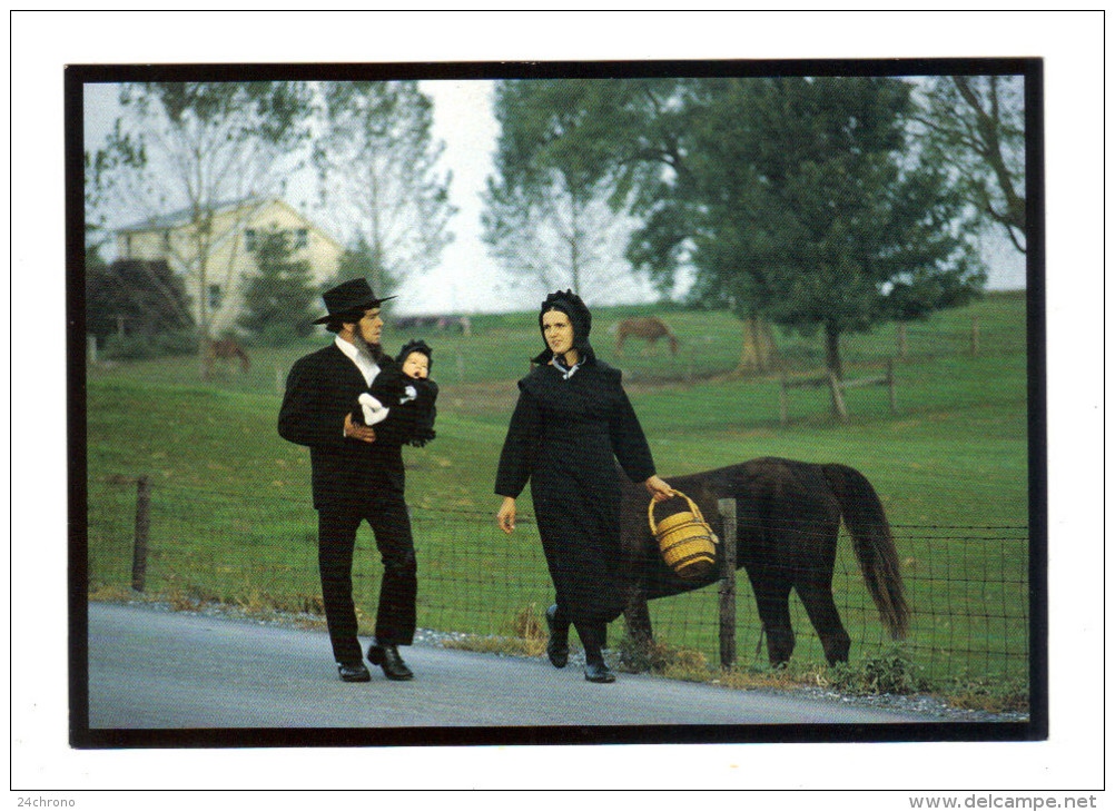 Etats Unis: Lancaster, Amish Seasons, A Young Amish Family Walks To Church On Sunday Morning (15-3851) - Lancaster