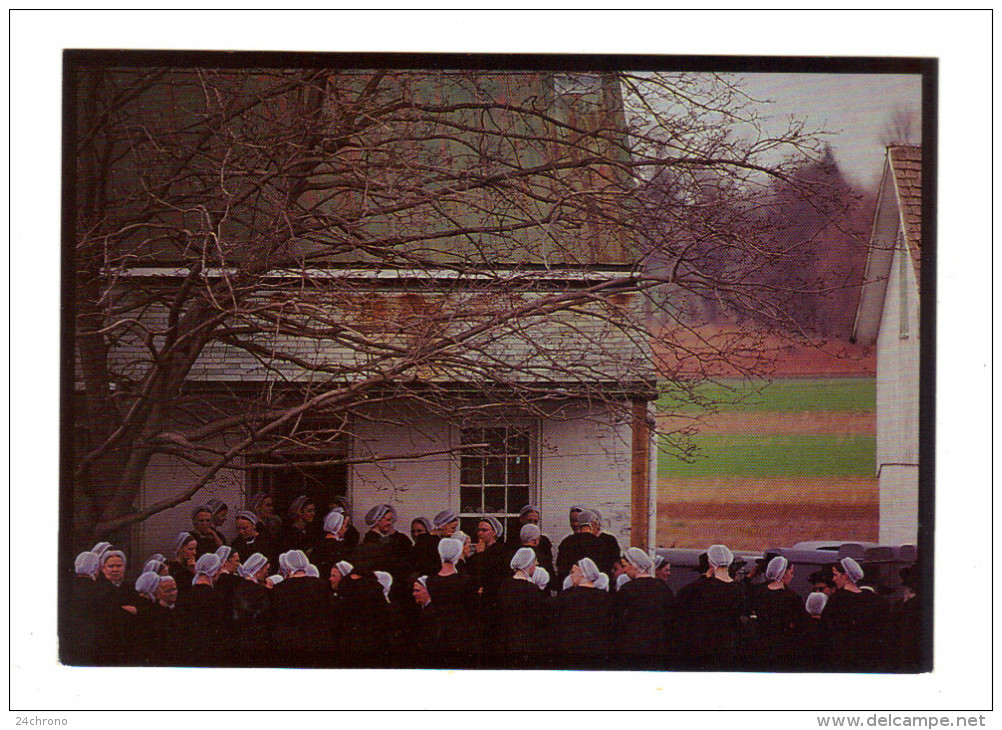 Etats Unis: Lancaster, Amish Seasons, A Sober Gathering (15-3852) - Lancaster