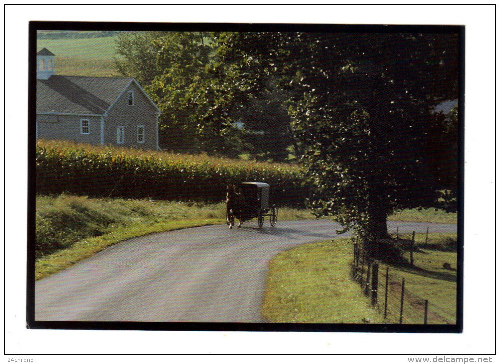 Etats Unis: Lancaster, Amish Seasons, Visiting, Shopping, Church: People Reach Out To One Another, Buggy (15-3854) - Lancaster