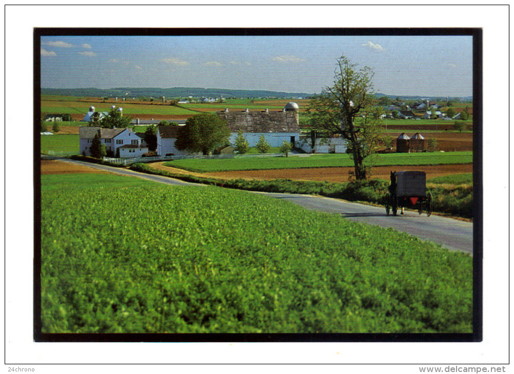 Etats Unis: Lancaster, Amish Seasons, The Beautiful Lancaster County Countryside, Buggy (15-3859) - Lancaster