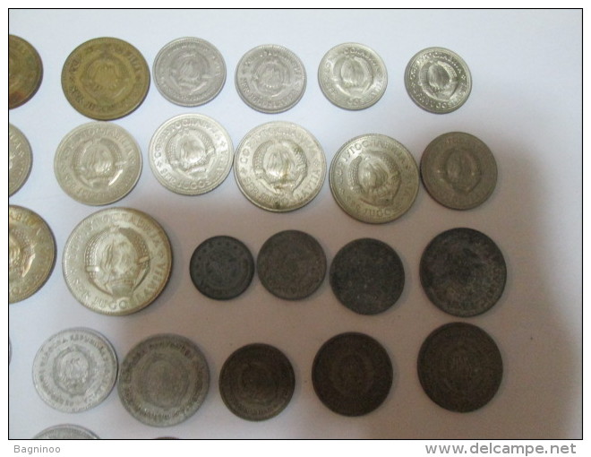 YUGOSLAVIA Large lot of 34 coins FAO 1 2 5 10 20 50 dinars and para "2"